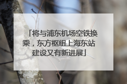 将与浦东机场空铁换乘，东方枢纽上海东站建设又有新进展