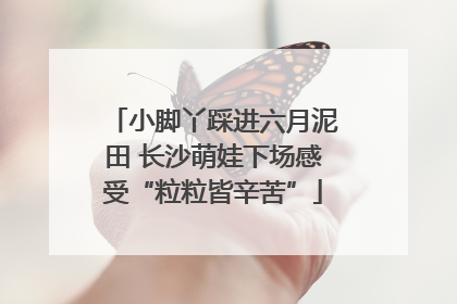 小脚丫踩进六月泥田 长沙萌娃下场感受“粒粒皆辛苦”