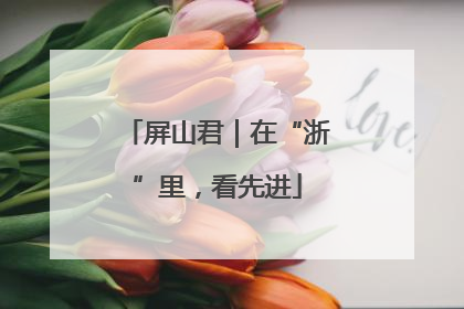 屏山君｜在“浙”里，看先进