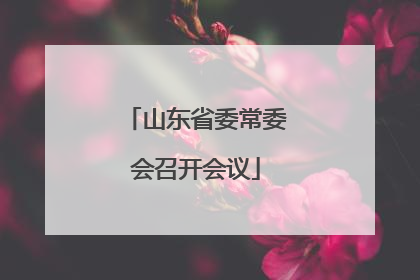 山东省委常委会召开会议