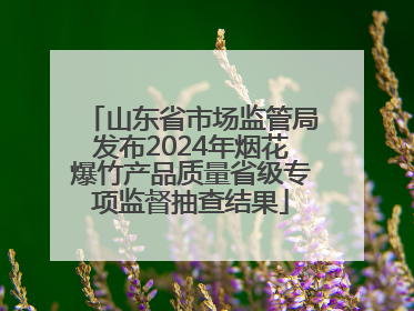山东省市场监管局发布2024年烟花爆竹产品质量省级专项监督抽查结果