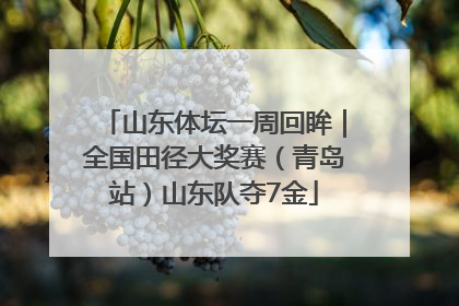 山东体坛一周回眸｜全国田径大奖赛（青岛站）山东队夺7金