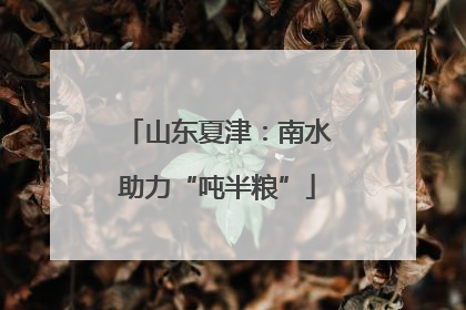 山东夏津：南水助力“吨半粮”