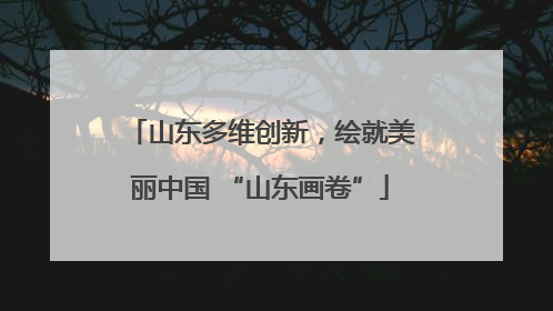 山东多维创新，绘就美丽中国 “山东画卷”