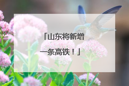山东将新增一条高铁！