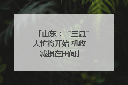 山东：“三夏”大忙将开始 机收减损在田间