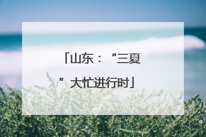 山东：“三夏”大忙进行时