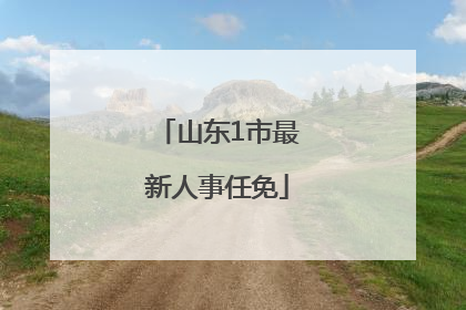 山东1市最新人事任免