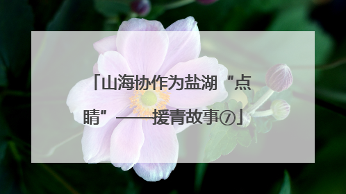山海协作为盐湖“点睛”——援青故事⑦