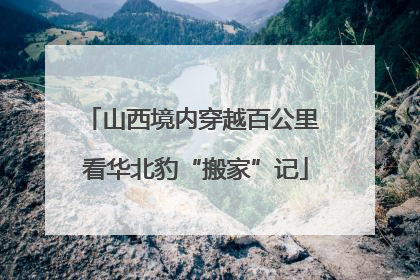 山西境内穿越百公里 看华北豹“搬家”记