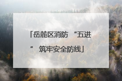 岳麓区消防 “五进” 筑牢安全防线