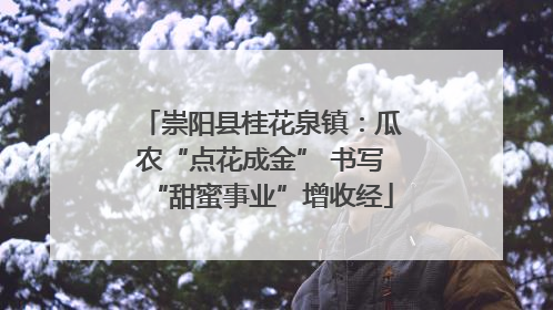 崇阳县桂花泉镇：瓜农“点花成金” 书写“甜蜜事业”增收经