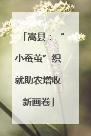嵩县:“小蚕茧”织就助农增收新画卷