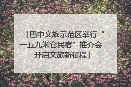 巴中文旅示范区举行“一五九米仓民宿”推介会 开启文旅新征程