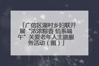 广信区湖村乡妇联开展“浓浓粽香 情系端午”关爱老年人主题服务活动（图）