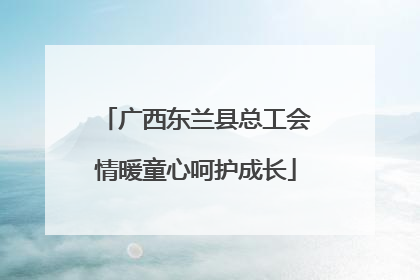 广西东兰县总工会情暖童心呵护成长