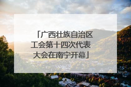广西壮族自治区工会第十四次代表大会在南宁开幕