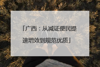 广西：从减证便民提速增效到规范优质