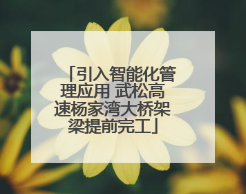 引入智能化管理应用 武松高速杨家湾大桥架梁提前完工