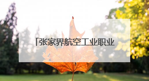 张家界航空工业职业技术学院举办2025年春季大型招聘会