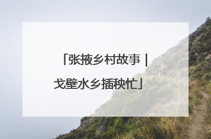 张掖乡村故事｜戈壁水乡插秧忙