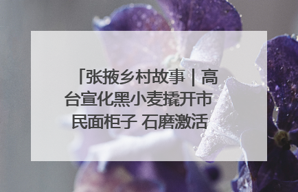 张掖乡村故事｜高台宣化黑小麦撬开市民面柜子 石磨激活村集体钱匣子