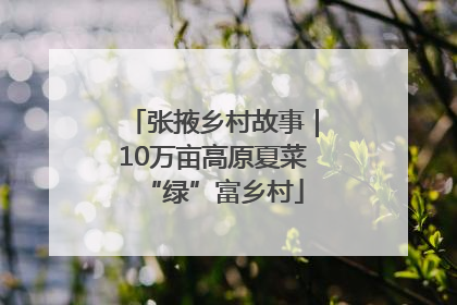 张掖乡村故事｜10万亩高原夏菜“绿”富乡村