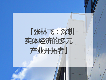 张林飞：深耕实体经济的多元产业开拓者