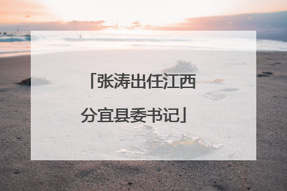 张涛出任江西分宜县委书记