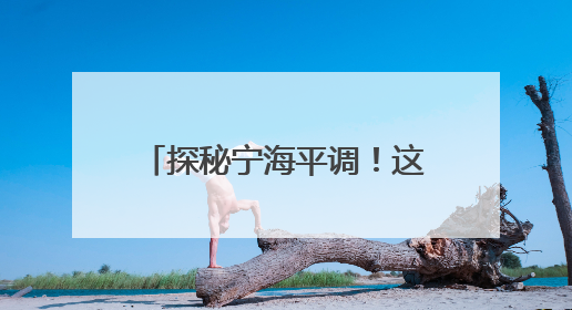 探秘宁海平调！这支团队用暑期实践打开非遗传承新视野