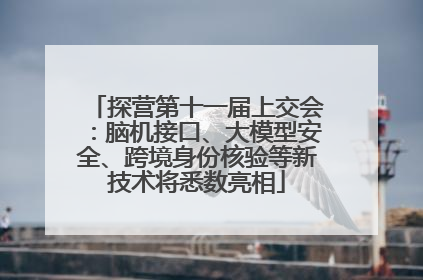 探营第十一届上交会：脑机接口、大模型安全、跨境身份核验等新技术将悉数亮相
