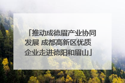推动成德眉产业协同发展 成都高新区优质企业走进德阳和眉山
