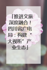 推进文旅深度融合！四川省广电局：构建“大视听”产业生态