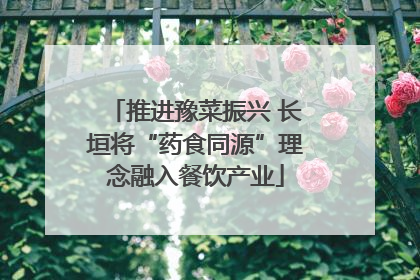 推进豫菜振兴 长垣将“药食同源”理念融入餐饮产业