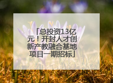 总投资13亿元！开封人才创新产教融合基地项目一期招标