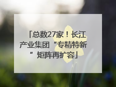 总数27家！长江产业集团“专精特新”矩阵再扩容