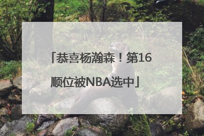 恭喜杨瀚森！第16顺位被NBA选中