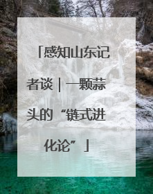 感知山东记者谈｜一颗蒜头的“链式进化论”