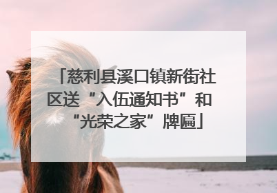 慈利县溪口镇新街社区送“入伍通知书”和“光荣之家”牌匾