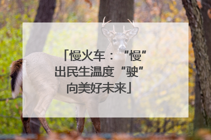慢火车：“慢”出民生温度“驶”向美好未来