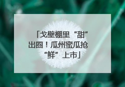 戈壁棚里“甜”出圈！瓜州蜜瓜抢“鲜”上市
