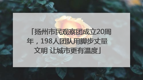 扬州市民观察团成立20周年，198人团队用脚步丈量文明 让城市更有温度
