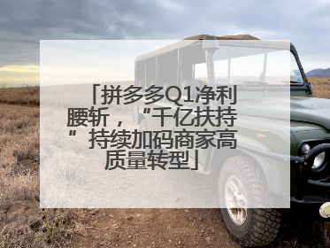 拼多多Q1净利腰斩，“千亿扶持”持续加码商家高质量转型