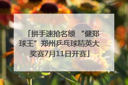 拼手速抢名额 “健郑球王”郑州乒乓球精英大奖赛7月11日开赛