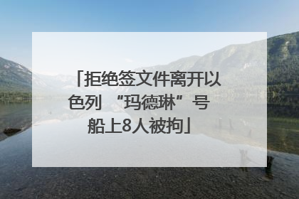 拒绝签文件离开以色列 “玛德琳”号船上8人被拘