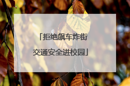 拒绝飙车炸街 交通安全进校园