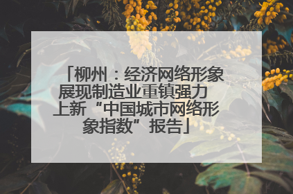 柳州：经济网络形象展现制造业重镇强力 上新“中国城市网络形象指数”报告