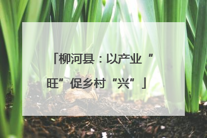柳河县：以产业“旺”促乡村“兴”