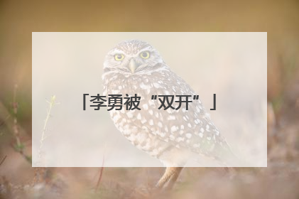 李勇被“双开”