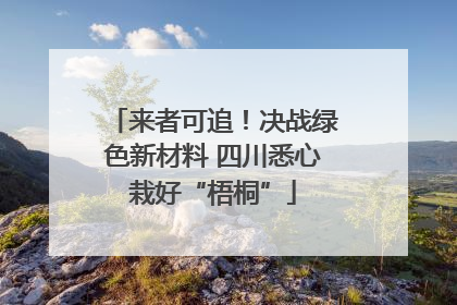 来者可追！决战绿色新材料 四川悉心栽好“梧桐”